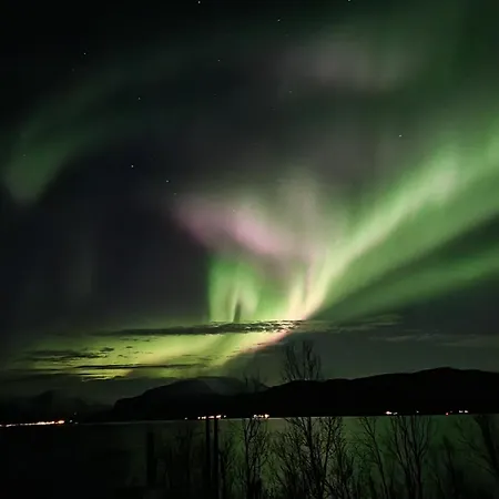 Leirvag Holiday home