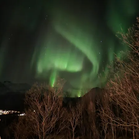 Leirvag Holiday home *